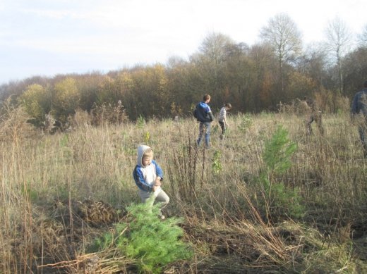 Жителі Михлина розпочали кампанію з благоустрою села