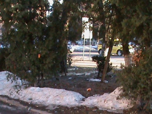 Притон свавілля у скверику,напроти ЛРДА ВО!