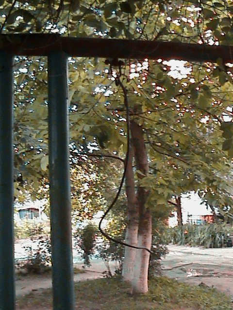 Маразм та самоуправство міської влади Луцька!  Частина 1. «Інвестиції» в майбутнє.