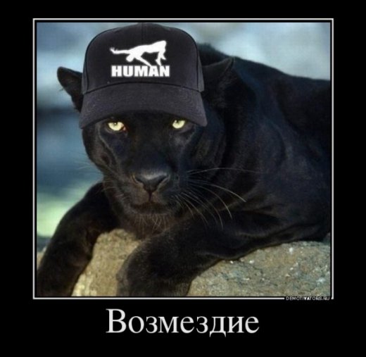 Обережно:епідемія агресії!!!