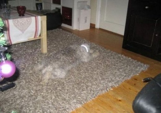 «Вдалі» ракурси ))) 