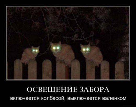 Обережно:епідемія агресії!!!