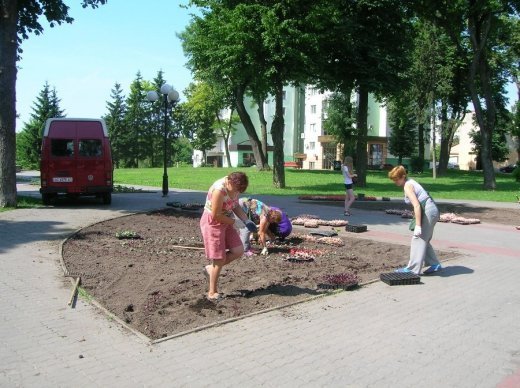 У Луцьку облаштовують квіткові алеї