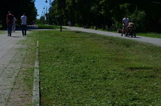 У Луцьку облаштовують квіткові алеї