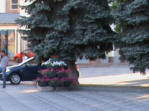 «Євроінтеграційні» промоції сучасного Луцька! 