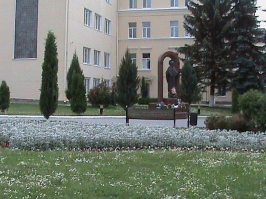 «Євроінтеграційні» промоції сучасного Луцька! 