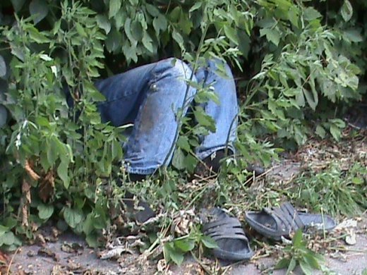 В Луцьку алкогольний мор?