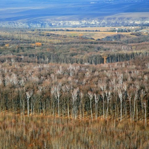 Україна, яку видно з неба