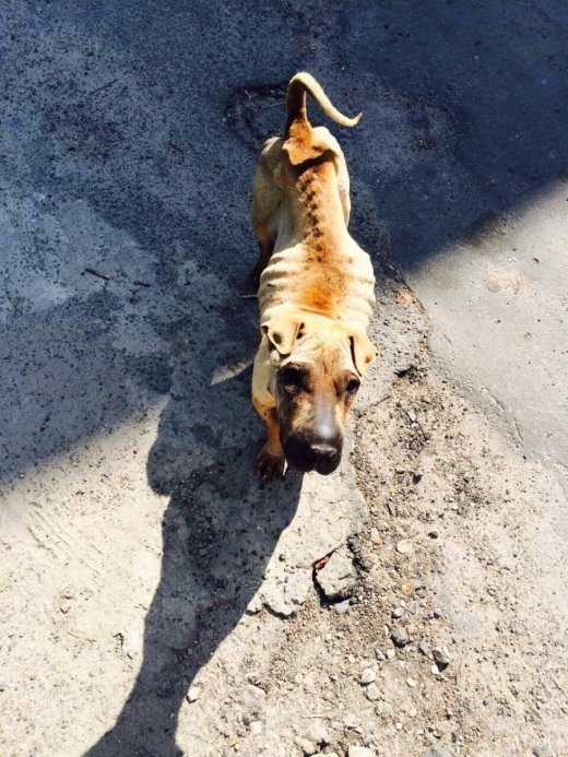 Для тих, кому не байдуже!