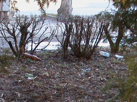 Притон свавілля у скверику,напроти ЛРДА ВО!