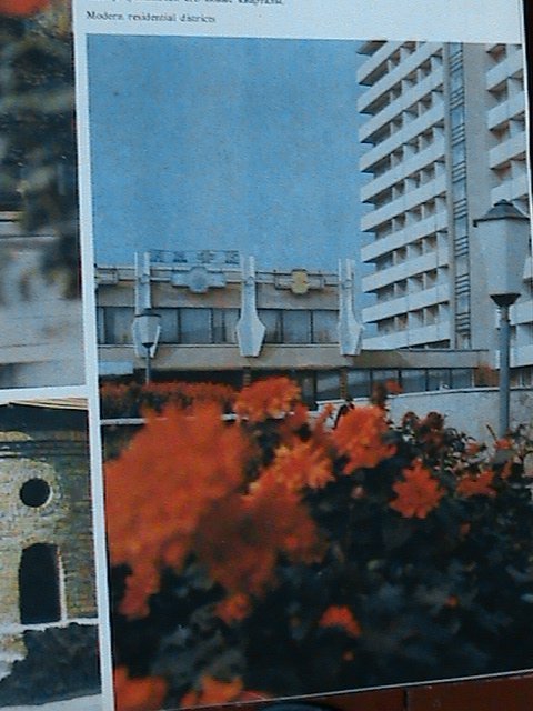 «Євроінтеграційні» промоції сучасного Луцька! 