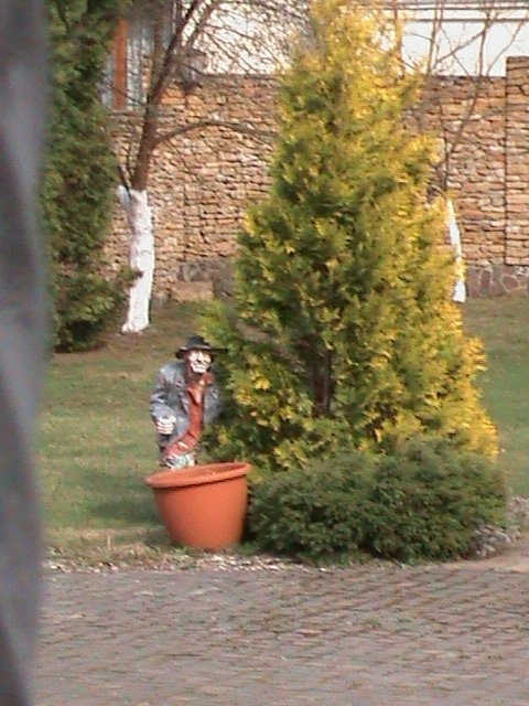 Екзклюзивна екскурсія «Королівством кривих дзеркал» древнього Лучеська!