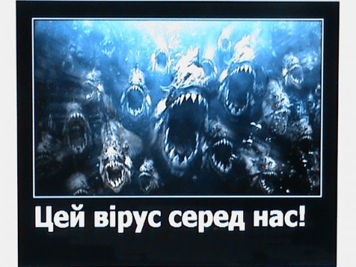 Обережно:епідемія агресії!!!