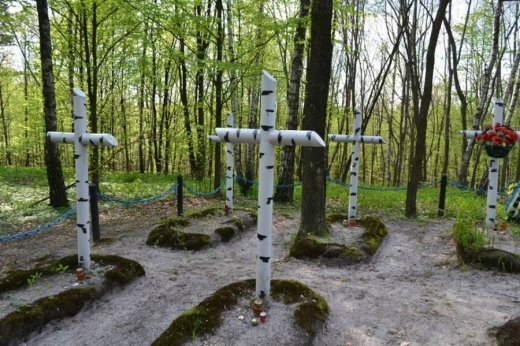 Волинські революціонери вшанували Героїв УПА. ФОТО