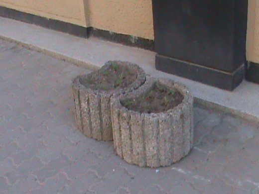 «Євроінтеграційні» промоції сучасного Луцька! 