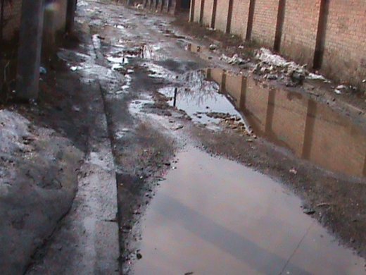 Спецоперація «облагородження міста» по-луцьки!