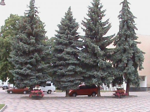 «Євроінтеграційні» промоції сучасного Луцька! 