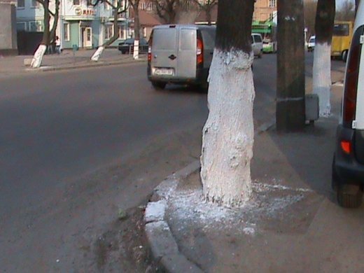 Спецоперація «облагородження міста» по-луцьки!