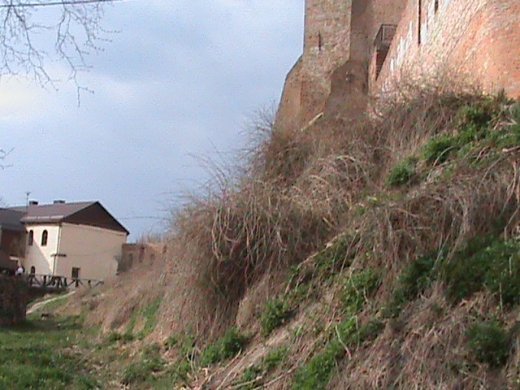 Екзклюзивна екскурсія «Королівством кривих дзеркал» древнього Лучеська!