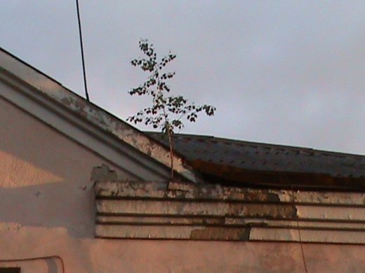 «Євроінтеграційні» промоції сучасного Луцька! 