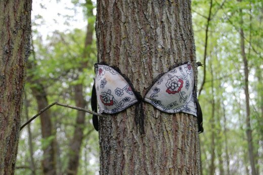 Бюстгальтери на деревах?