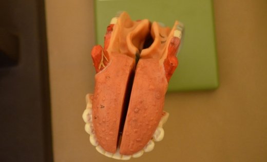 Де і як в Луцьку роблять операції на серце. ФОТО. ВІДЕО