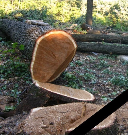 Процвітай,наш рідний край!