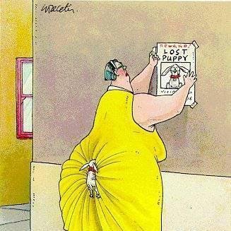 Обережно:епідемія агресії!!!