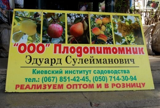 Базар в луцком Промине