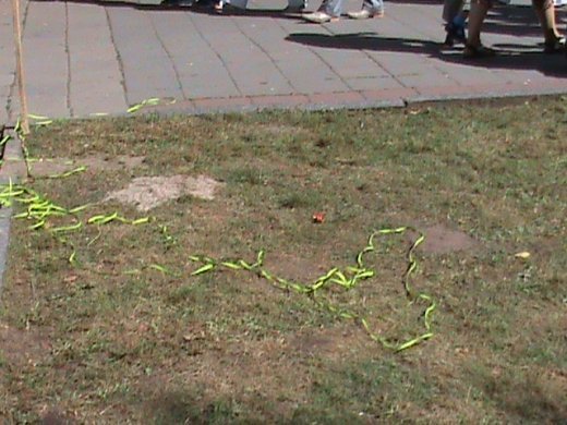 Колгоспна культура по-луцьки!