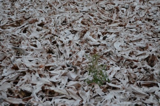 І ще раз про таємничі ракетні шахти на Волині. ФОТО