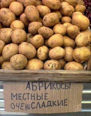 «Умом Россию не понять, Аршином общим не измерить» (с)