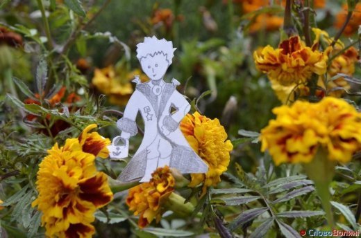 Фото осіннього додощового Луцька