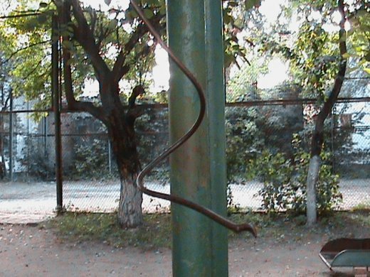 Маразм та самоуправство міської влади Луцька!  Частина 1. «Інвестиції» в майбутнє.