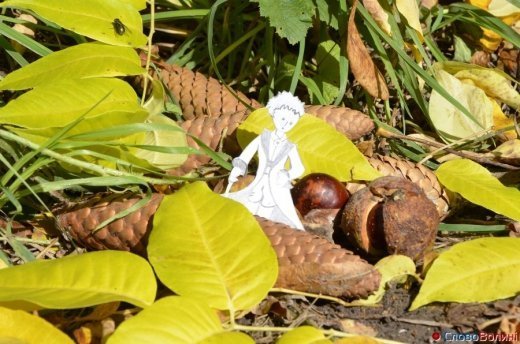 Фото осіннього додощового Луцька