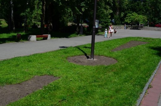 У Луцьку облаштовують квіткові алеї