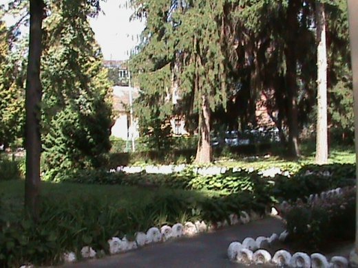 «Хрестовий похід» по «зниклим» дитсадкам міста! Маразм та самоуправство міської влади Луцька!  Частина 2.