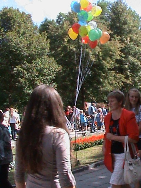 Колгоспна культура по-луцьки!