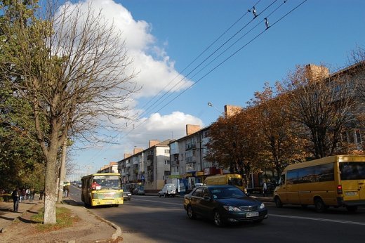 У жовтні в Луцьку зацвів каштан. ФОТО