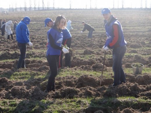Молоді регіони: «Майбутнє лісу в твоїх руках»
