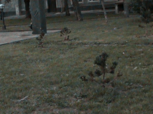 «Євроінтеграційні» промоції сучасного Луцька! 