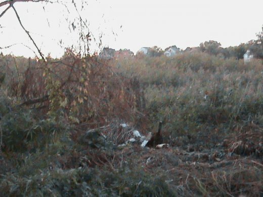 Процвітай,наш рідний край!