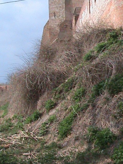 Екзклюзивна екскурсія «Королівством кривих дзеркал» древнього Лучеська!