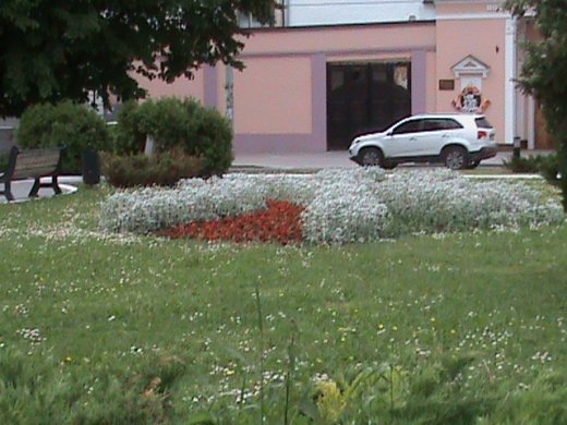 «Євроінтеграційні» промоції сучасного Луцька! 