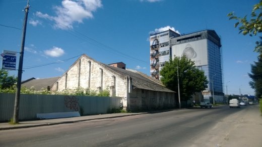 Небезпечна рослина Борщівник квітне в центрі Луцька