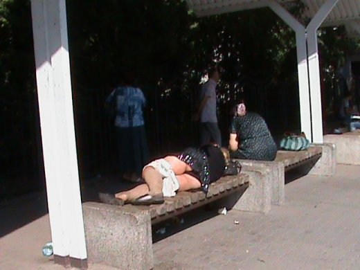 В Луцьку алкогольний мор?