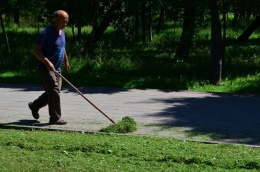 У Луцьку облаштовують квіткові алеї