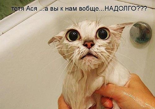 Обережно:епідемія агресії!!!