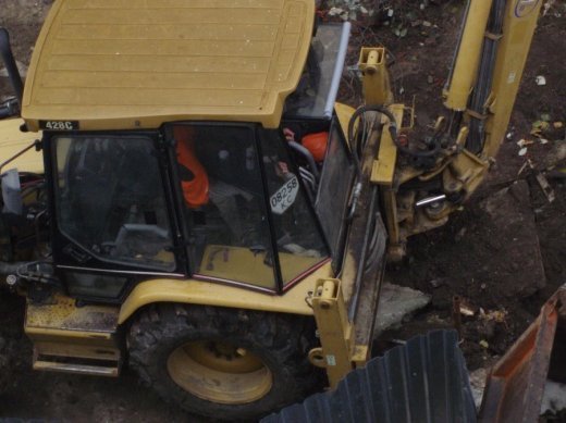 Знищили горобину біля ЦУМу.