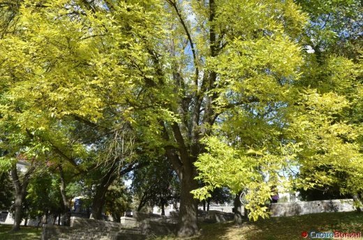 Фото осіннього додощового Луцька